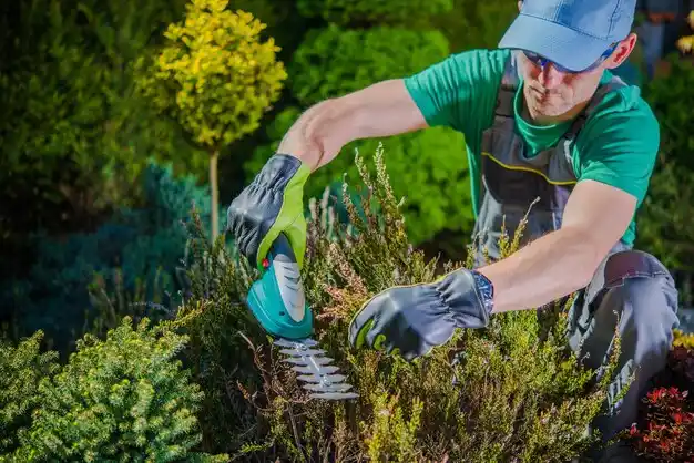 landscaping services Aurora